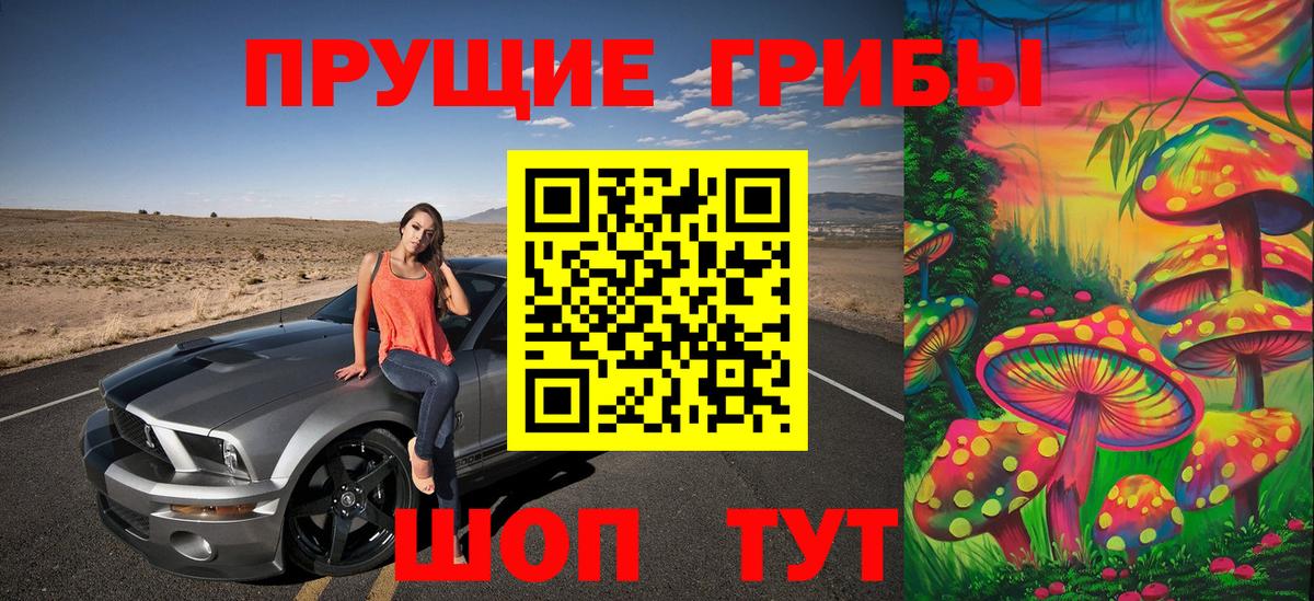 Волоколамск  Псилоцибиновые грибы прущие грибы  Псилоцибиновые грибы GOLDEN TEACHER  Вход с VPN 