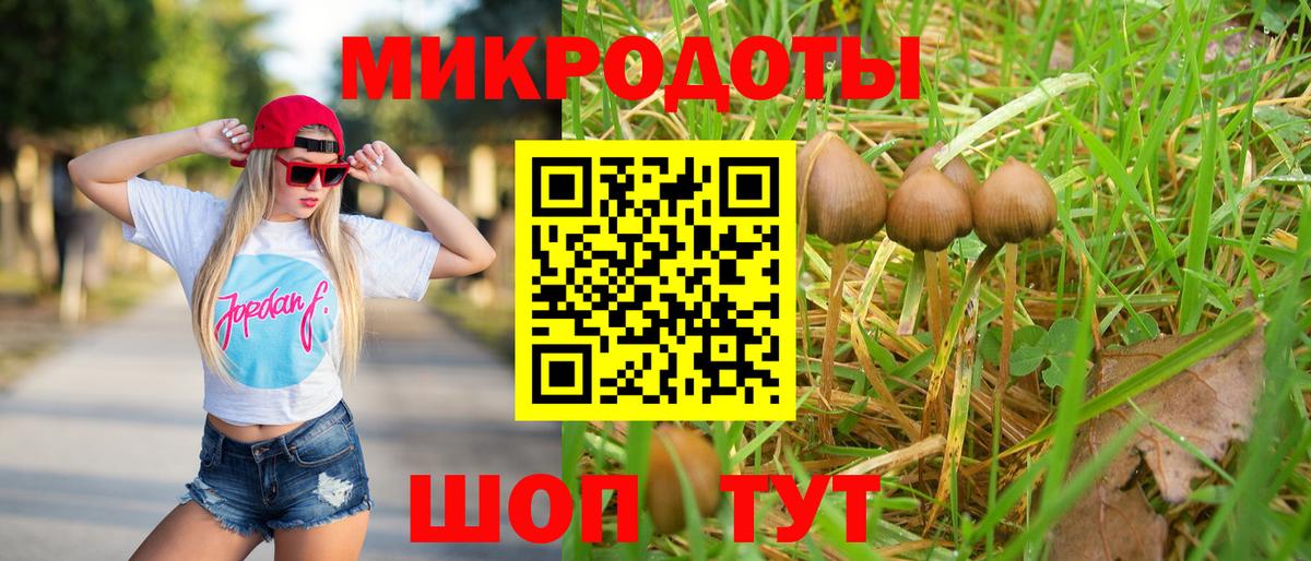 Галлюциногенные грибы Psilocybine cubensis Волоколамск